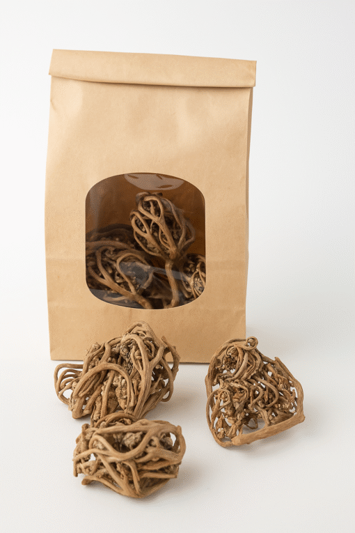 Plante Mariam (Chajarat Mariam)