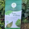 Feuilles de Moringa
