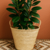 🧺 Panier en Feuilles de Palmier – Kounouz