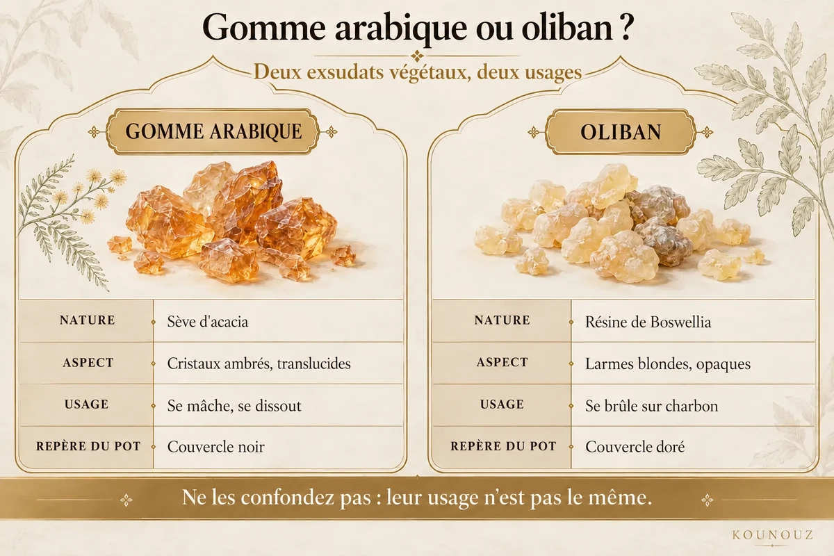Comparatif entre oliban et gomme arabique : nature, aspect et usage.
