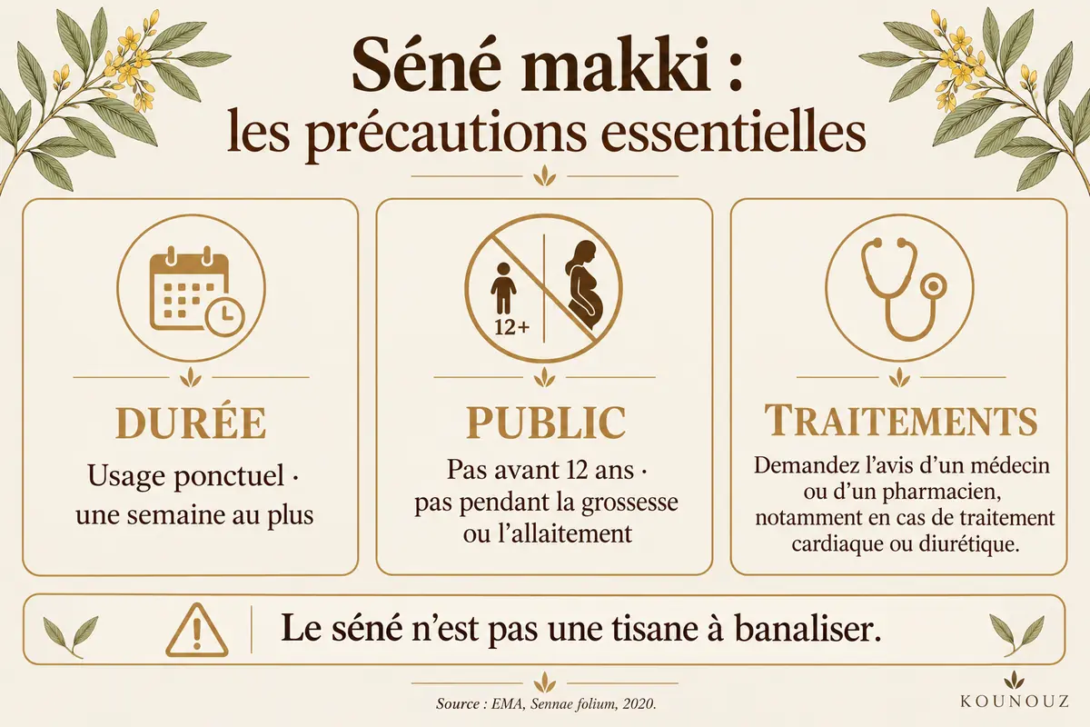 Précautions d'emploi essentielles pour les feuilles de séné makki.