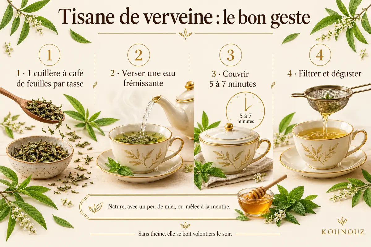 Étapes pour préparer une tisane de verveine séchée.